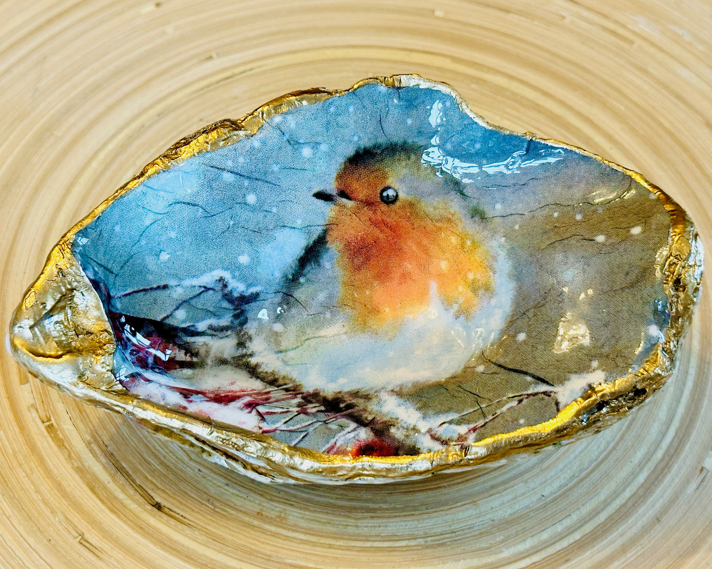 Robin in the Snow