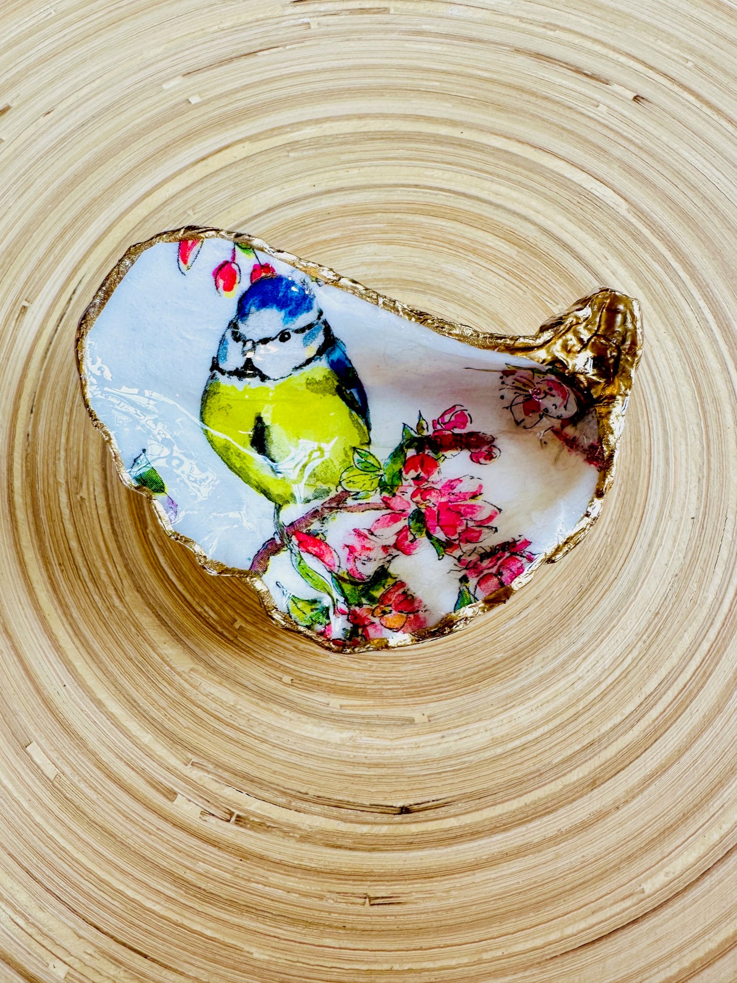 Blue Tit on Oyster Shell