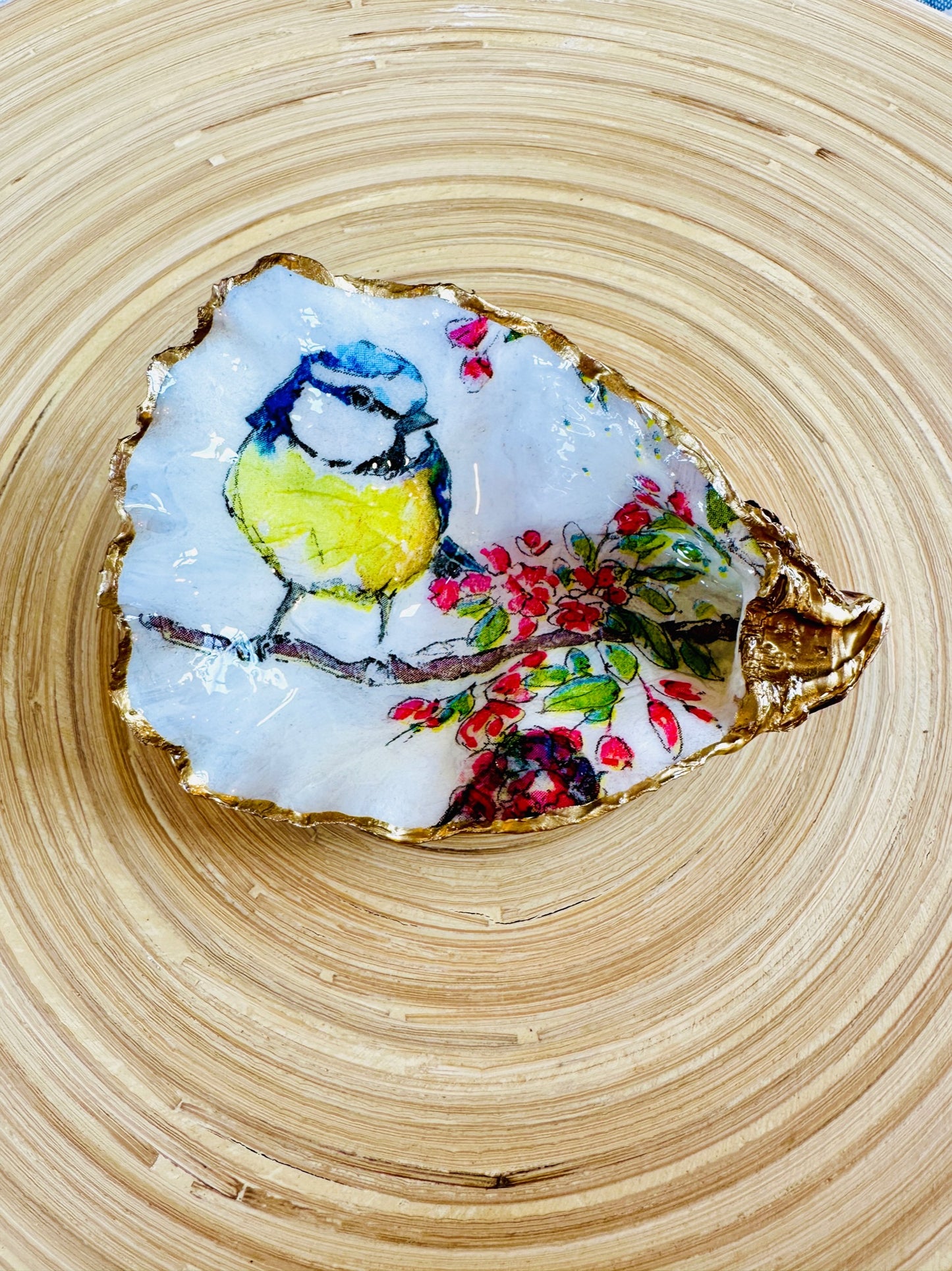 Blue Tit on Oyster Shell