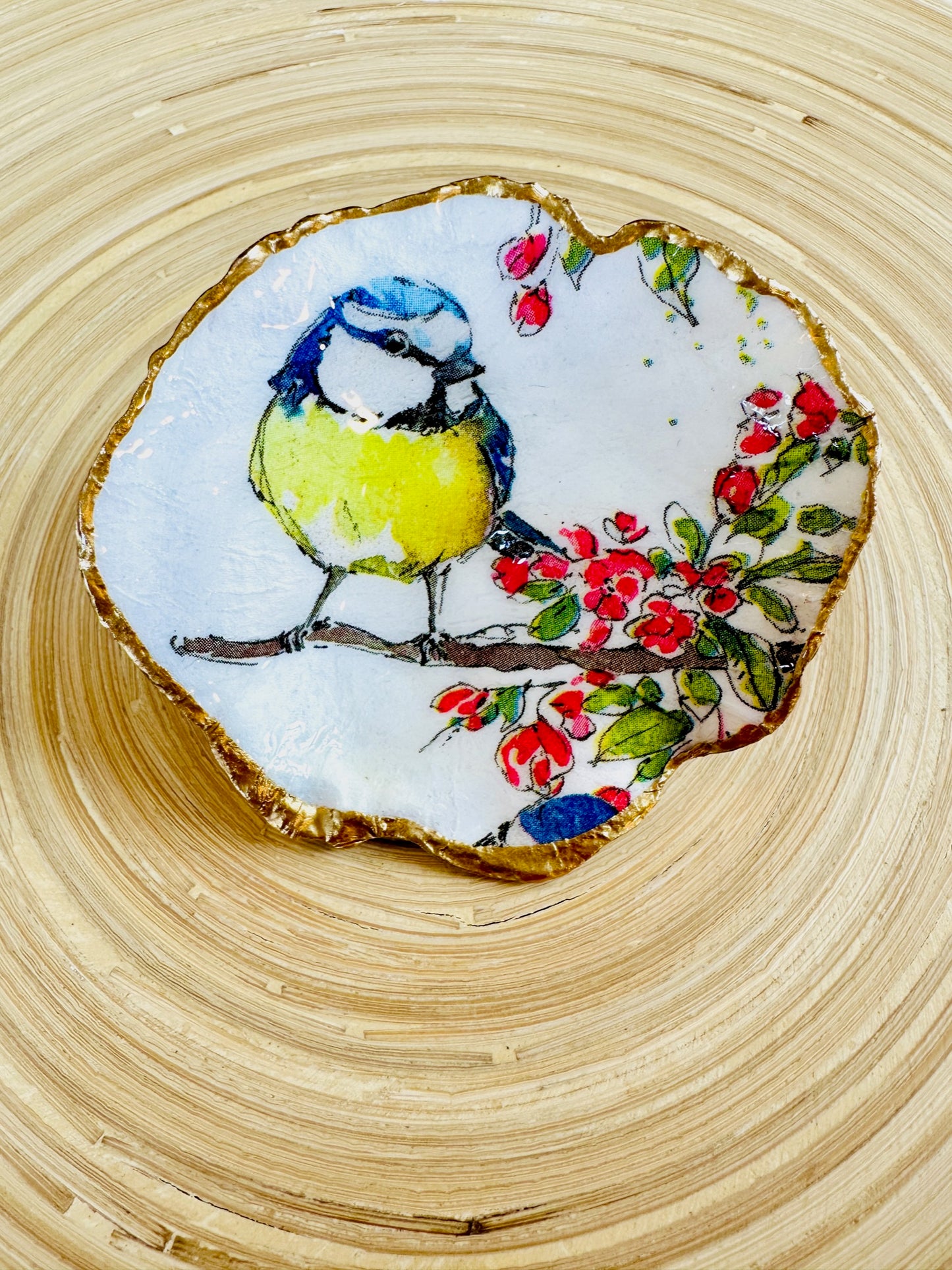 Blue Tit on Oyster Shell