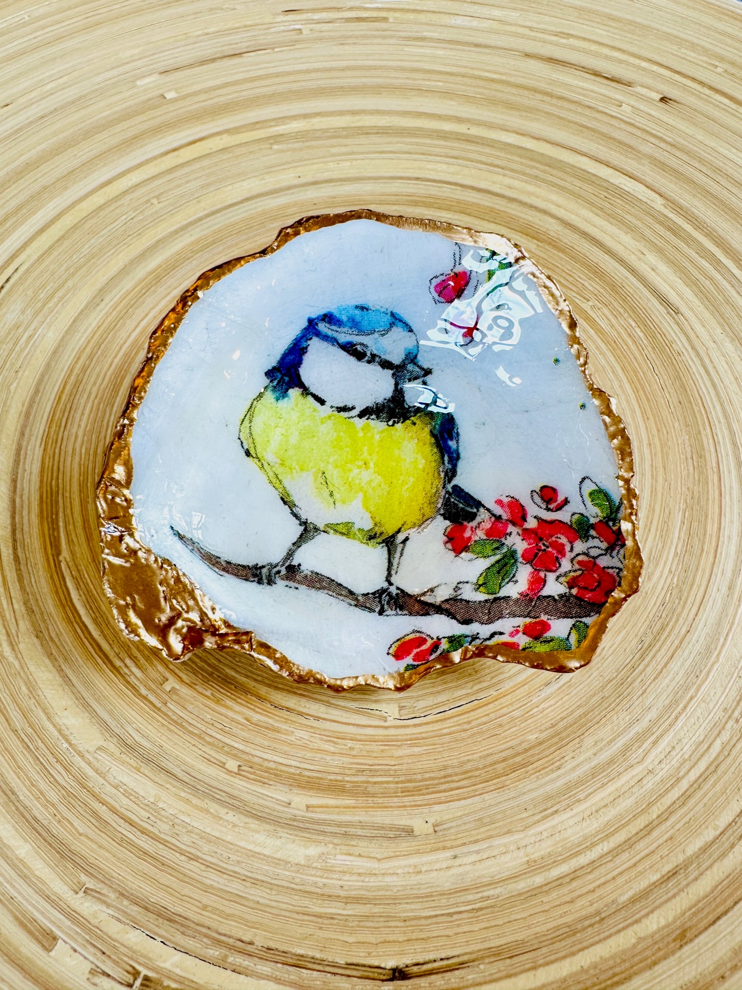 Blue Tit on Oyster Shell