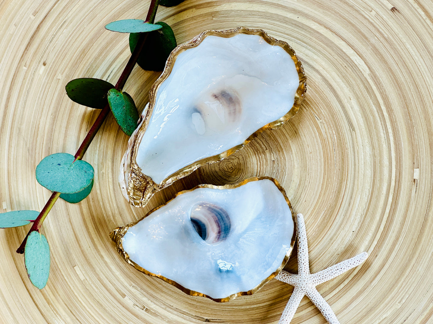 Natural Oyster Shell Set