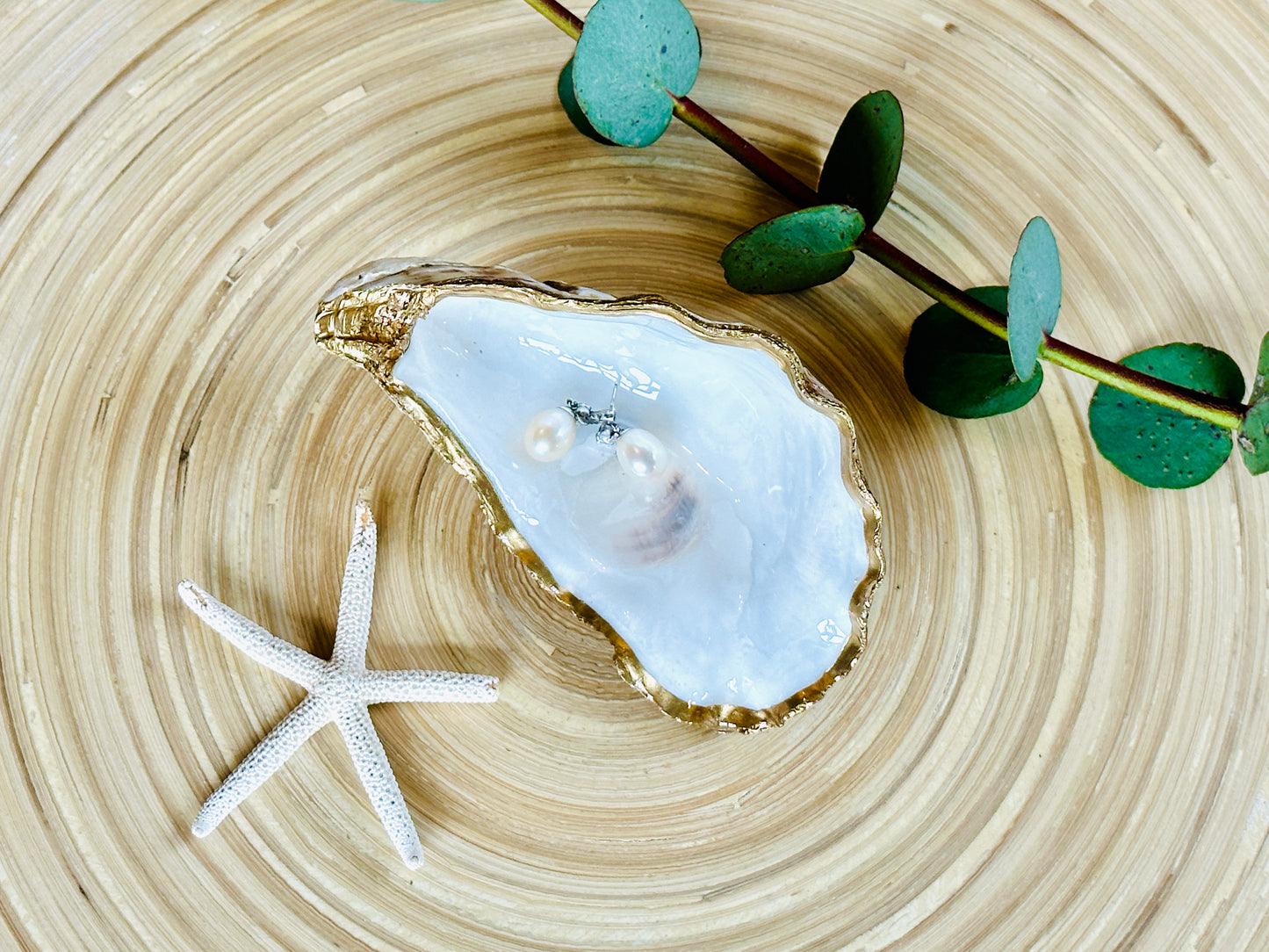Natural Oyster Shell