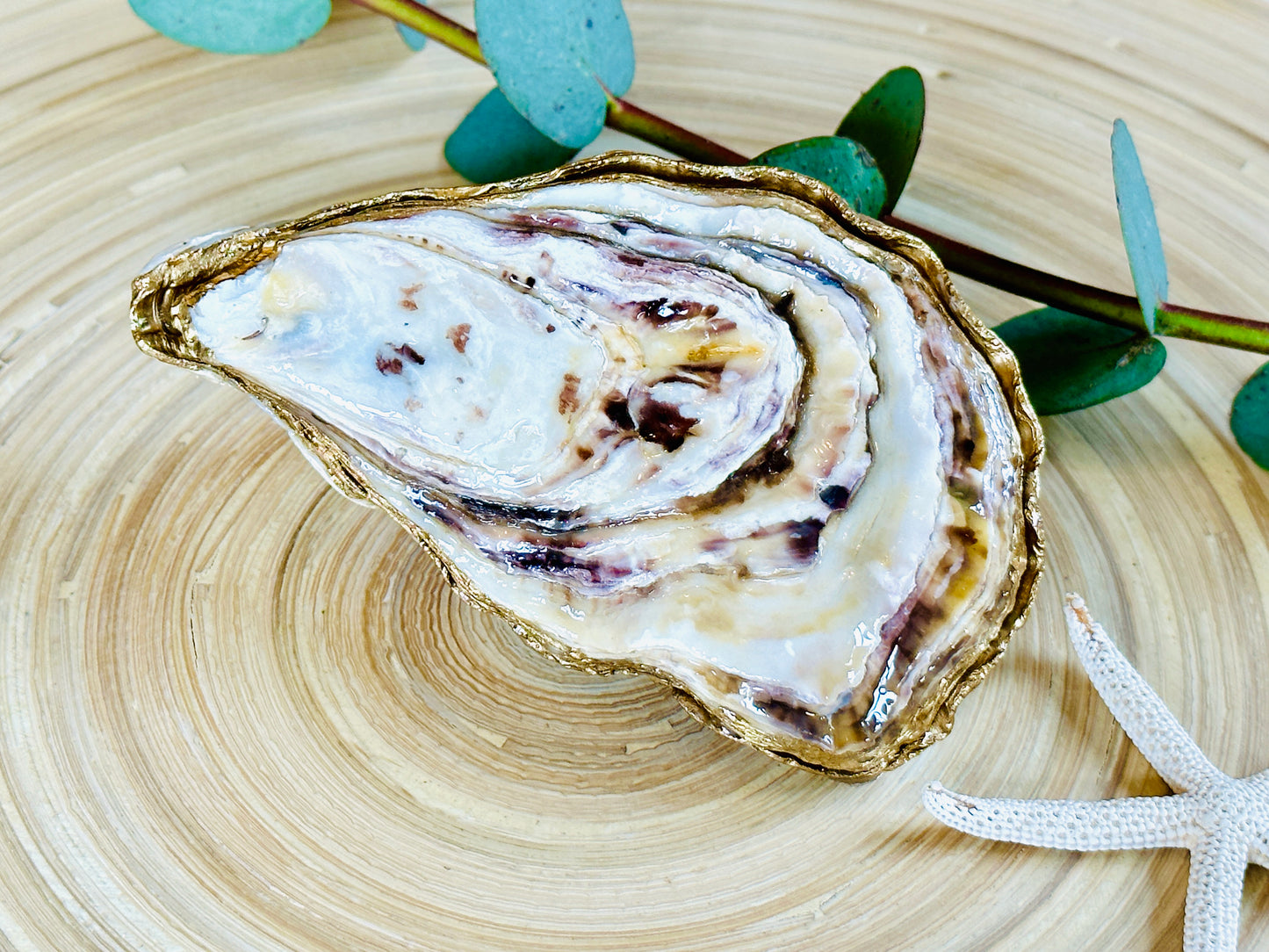 Natural Oyster Shell Set