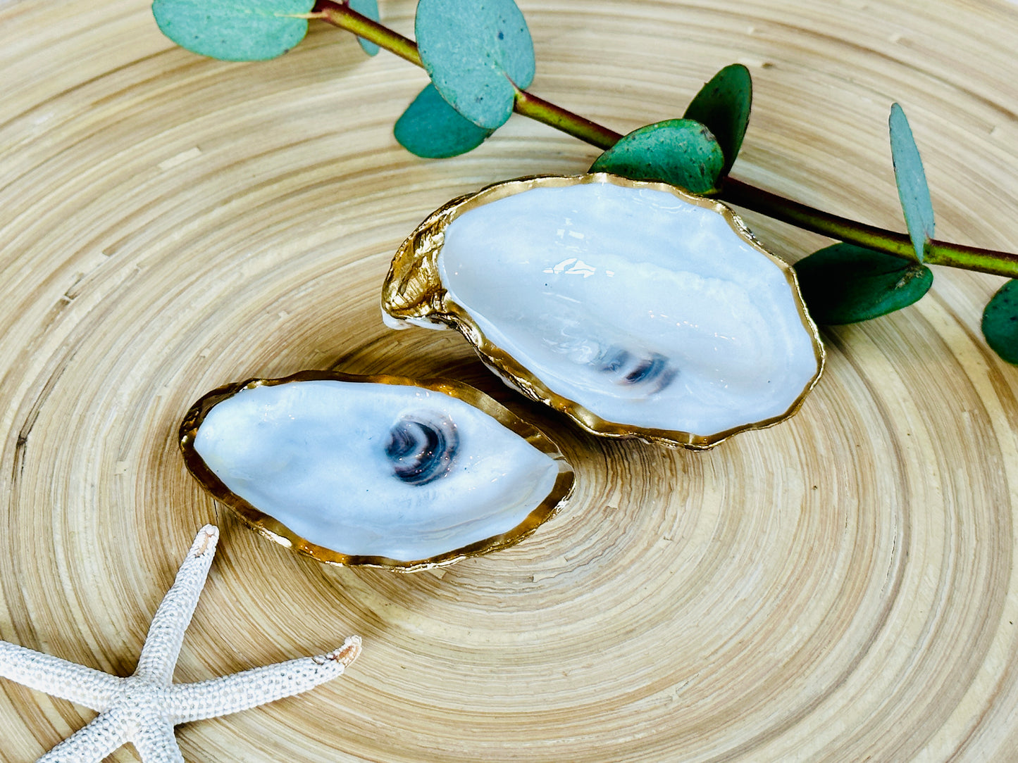 Small Natural Oyster Shell Set