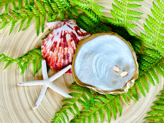 Circular Natural Oyster Shell