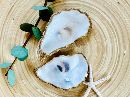 Large Natural Oyster Shell Set