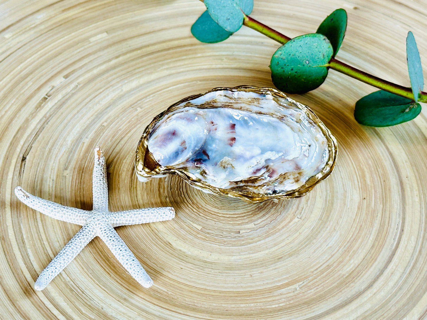 Small Natural Oyster Shell Set
